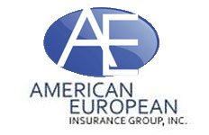 Image of American European Insurance Group, INC